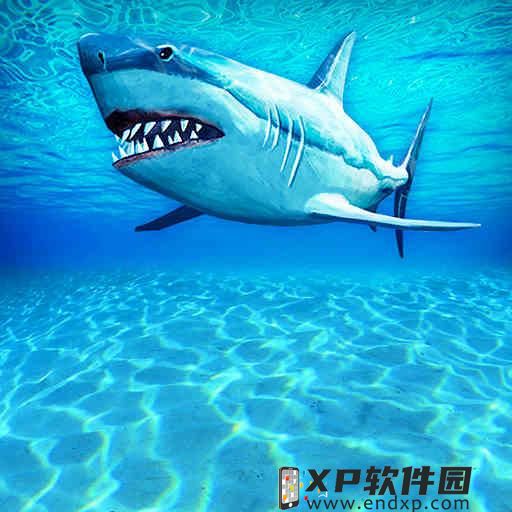 重温《梦幻西游手游》第21届X9联赛中热门阵容！