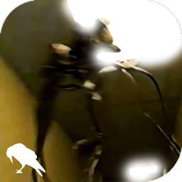 文娱：我，粤语教父，被央视曝光